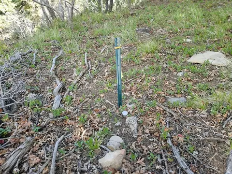 50 E Thads Peak Dr S #J50, Fairview, UT 84629 photo 6