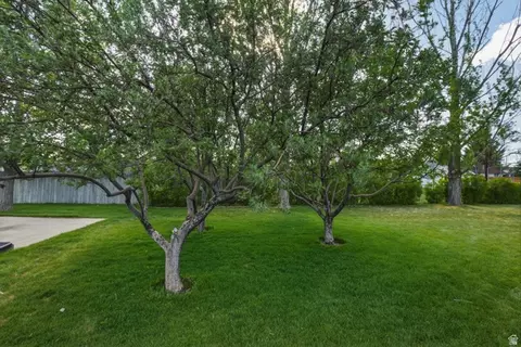 Exterior - 435 E 100 S, Fairview, UT 84629 photo 11 of 16