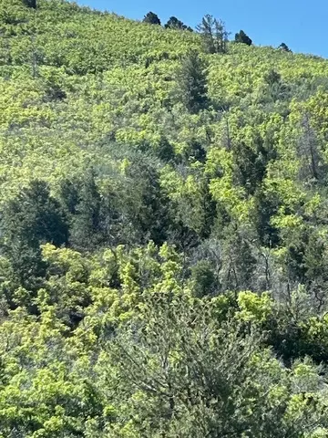 Undisclosed, Indianola, UT 84629