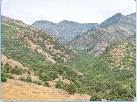 Undisclosed, Hyde Park, UT 84318