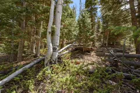 Undisclosed, Panguitch, UT 84759 photo 5