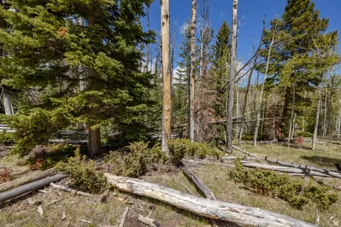 Undisclosed, Panguitch, UT 84759 photo 12