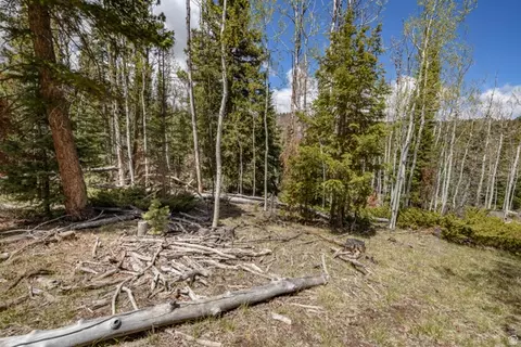 Undisclosed, Panguitch, UT 84759 photo 14