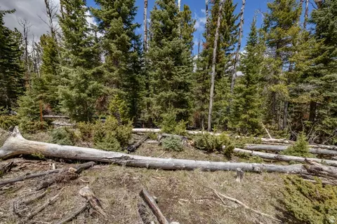 Undisclosed, Panguitch, UT 84759 photo 10