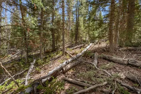 Undisclosed, Panguitch, UT 84759 photo 7