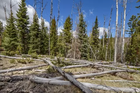 Undisclosed, Panguitch, UT 84759 photo 11