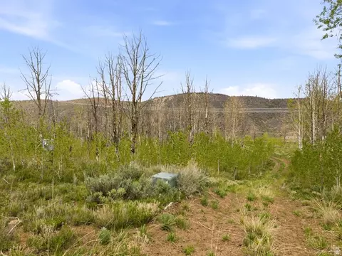 23133 E Alta Dr #12, Spanish Fork, UT 84660 photo 18