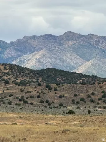 Undisclosed, Levan, UT 84639 photo 4