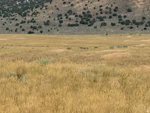 Undisclosed, Levan, UT 84639 photo 7