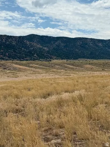 Undisclosed, Levan, UT 84639 photo 3