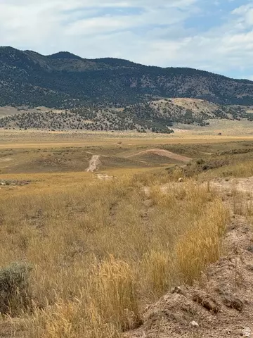 Undisclosed, Levan, UT 84639 photo 9