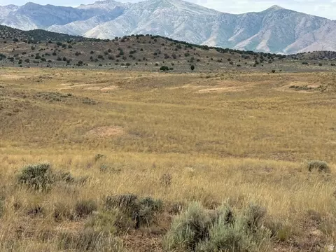 Undisclosed, Levan, UT 84639 photo 2