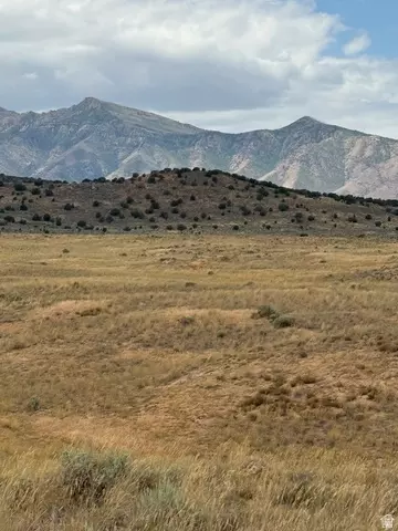 Undisclosed, Levan, UT 84639 photo 12