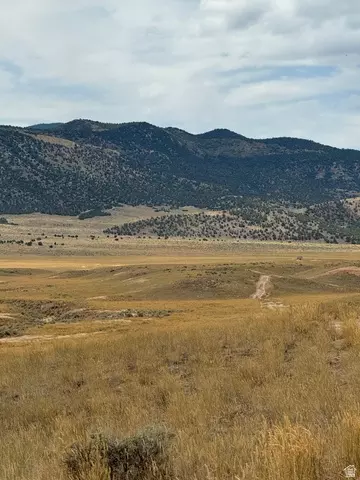 Undisclosed, Levan, UT 84639 photo 8