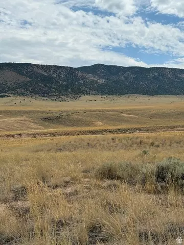 Undisclosed, Levan, UT 84639 photo 13