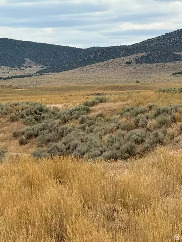 Undisclosed, Levan, UT 84639 photo 15