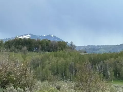 6476 Stauffer Rd #4, Montpelier, ID 83254