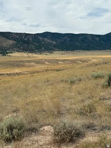 Undisclosed, Levan, UT 84639 photo 2