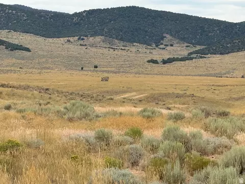 Undisclosed, Levan, UT 84639 photo 9
