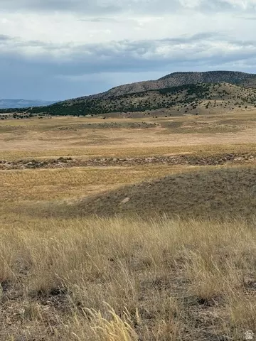 Undisclosed, Levan, UT 84639 photo 6