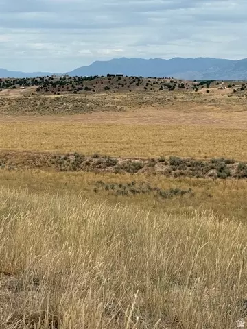 Undisclosed, Levan, UT 84639
