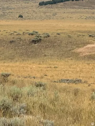 Undisclosed, Levan, UT 84639 photo 6