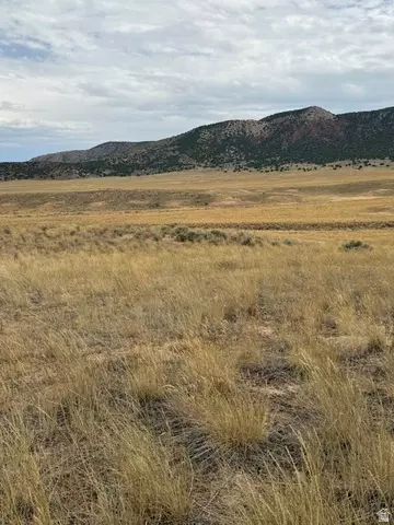 Undisclosed, Levan, UT 84639 photo 2