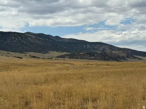 Undisclosed, Levan, UT 84639 photo 4