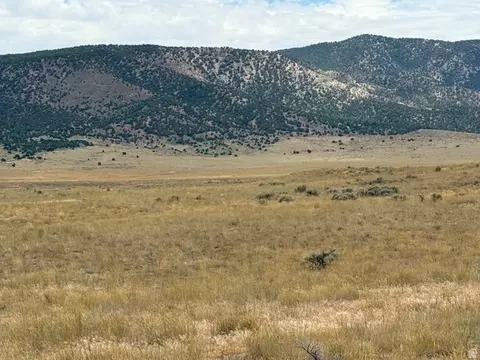 Undisclosed, Levan, UT 84639