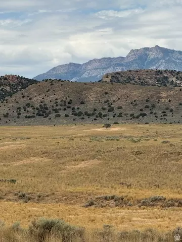 Undisclosed, Levan, UT 84639 photo 5