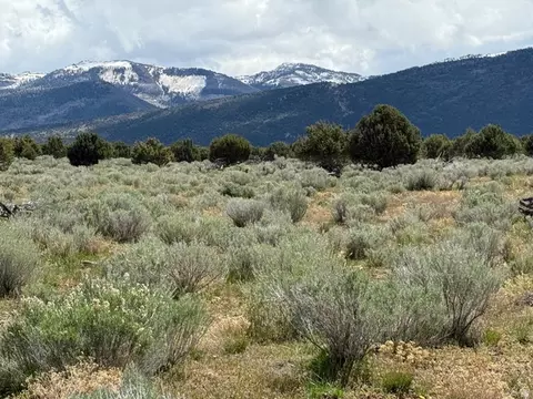Undisclosed, Spring City, UT 84662