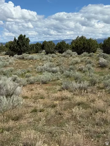 Undisclosed, Spring City, UT 84662 photo 10
