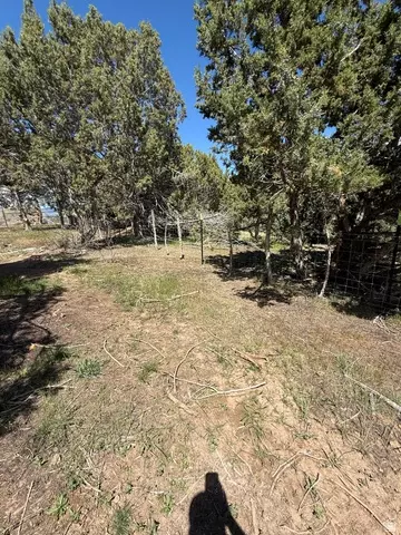 21 Old Highway 89, Spring City, UT 84662 photo 5