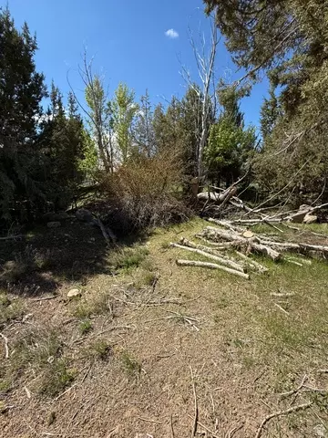 21 Old Highway 89, Spring City, UT 84662 photo 10