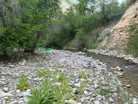 Other - 1141 S Oak Leaf, Springville, UT 84663 photo 54 of 58