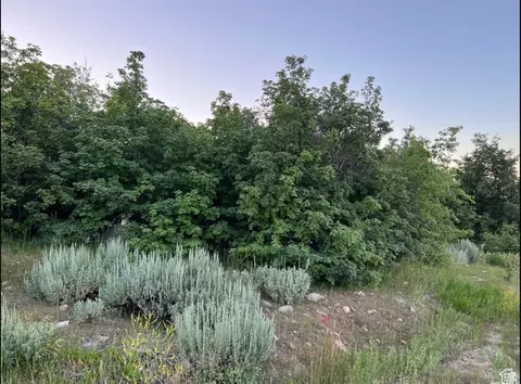 58 Juniper Dr #498, Fish Haven, ID 83287