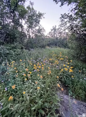 58 Juniper Dr #498, Fish Haven, ID 83287 photo 9