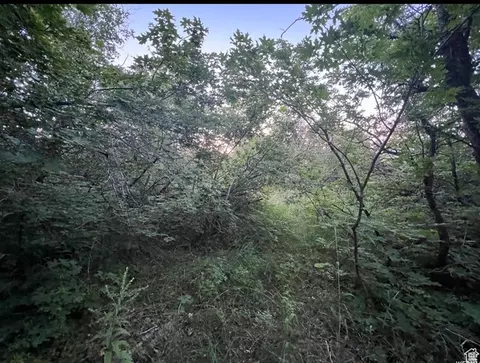 58 Juniper Dr #498, Fish Haven, ID 83287 photo 7
