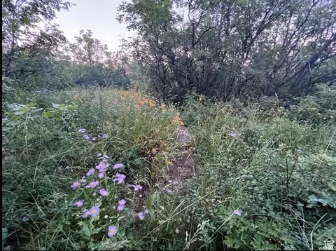 58 Juniper Dr #498, Fish Haven, ID 83287 photo 6