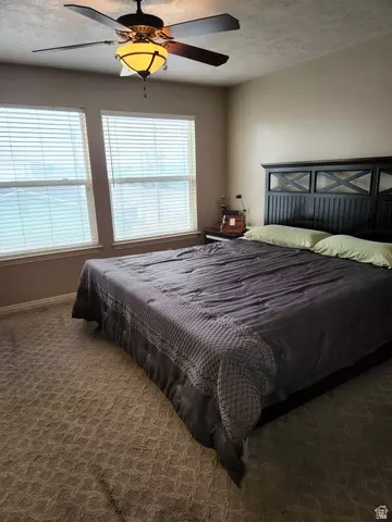 Other - 710 E Sandy Point Dr, Sandy, UT 84094 photo 7 of 17
