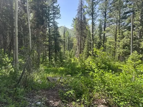 9328 E Wild Clematis Ln, Brighton, UT 84121 photo 2