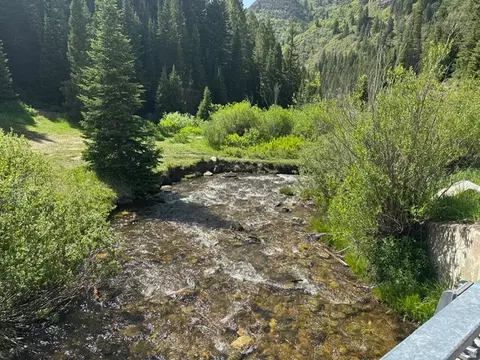 9328 E Wild Clematis Ln, Brighton, UT 84121 photo 8
