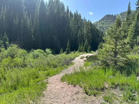 9328 E Wild Clematis Ln, Brighton, UT 84121 photo 6