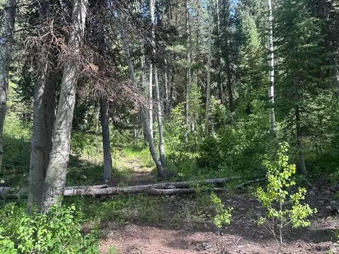 9328 E Wild Clematis Ln, Brighton, UT 84121