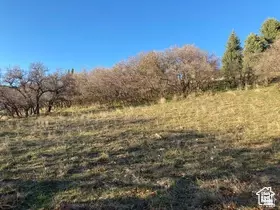 11 E Bent Hollow Ln S #1141, Sandy, UT 84092 photo 4