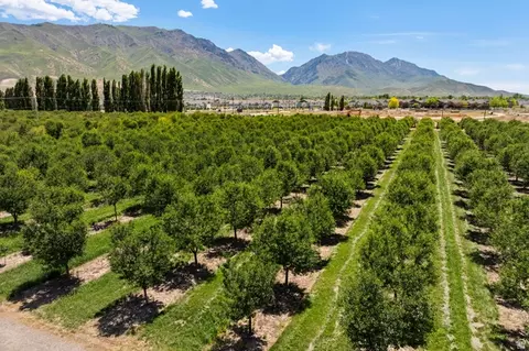 Undisclosed, Santaquin, UT 84655