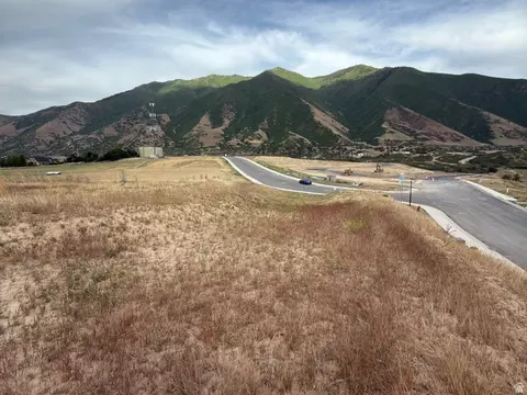 756 W Union Bench Dr S #255, Mapleton, UT 84664 photo 5