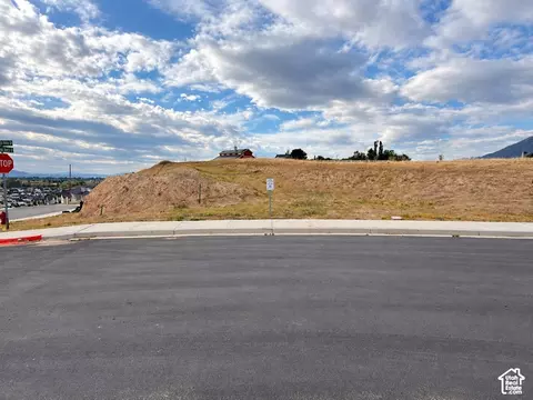 756 W Union Bench Dr S #255, Mapleton, UT 84664 photo 3