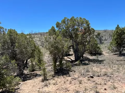Undisclosed, Fruitland, UT 84027