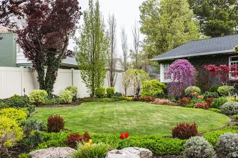 Exterior - 4539 S Willow Rd, Holladay, UT 84117 photo 42 of 42